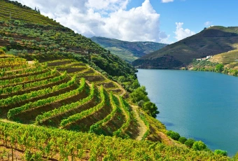 Imagem: Braga – Excursão Privada de Meio Dia saindo do Porto